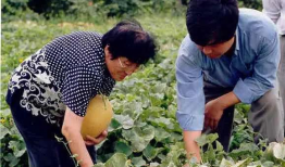 南体奥院吃瓜爆料,吃瓜爆料揭秘校园幕后故事